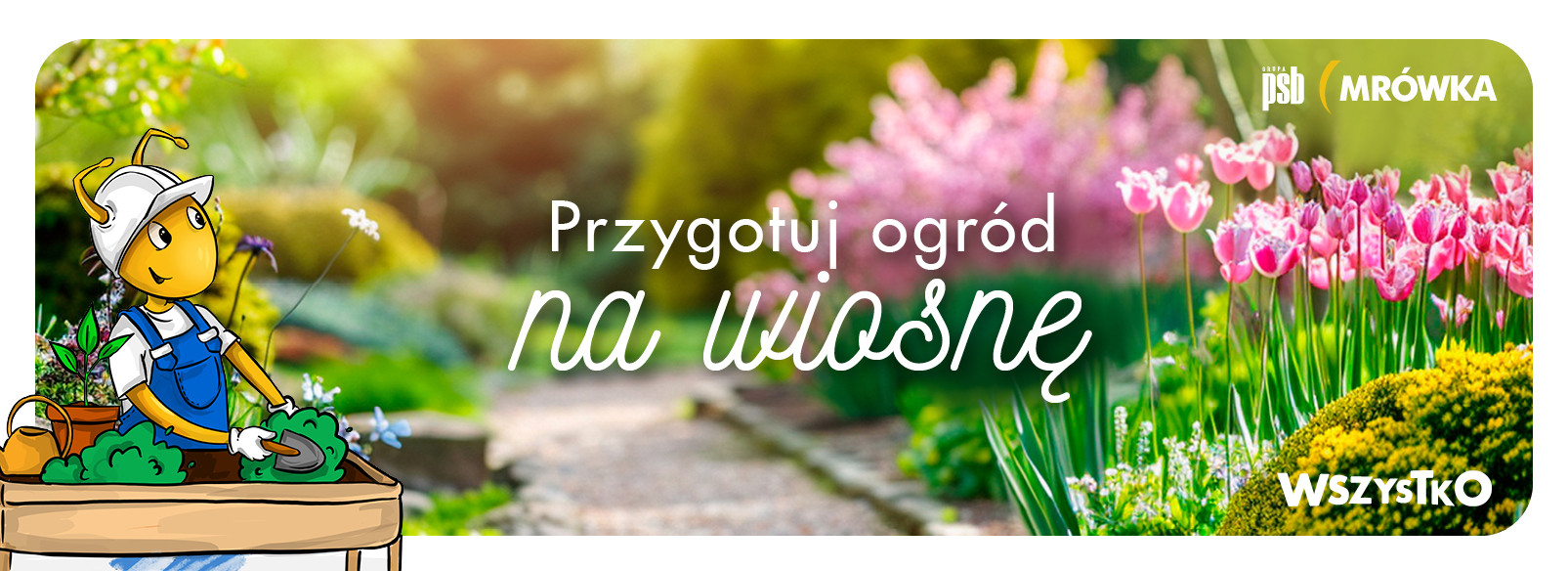 Grupa PSB mrowka Mrówka Oleśnica